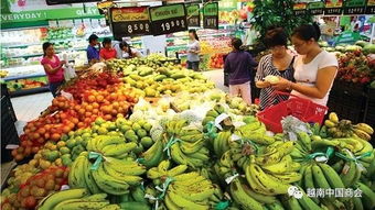 越南河内同多地合作将绿色农产品引进零售系统
